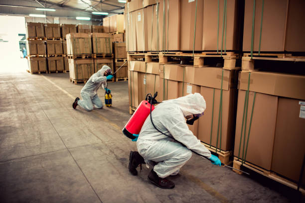 Reliable Campo, CA Pest Control Solutions