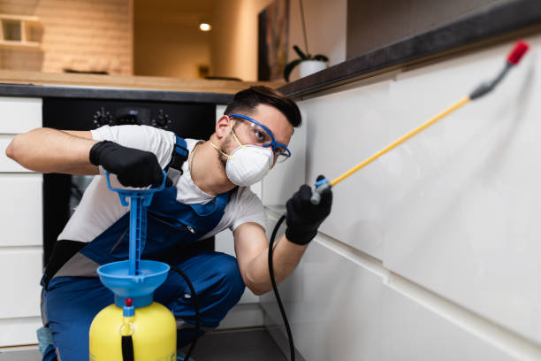 Best Cockroach Control Services  in Mpo, CA