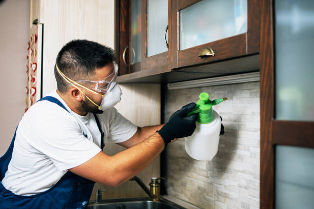 Best Flea Control Services  in Mpo, CA