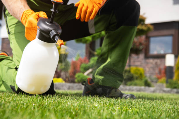 Best Pest Control Cost  in Mpo, CA