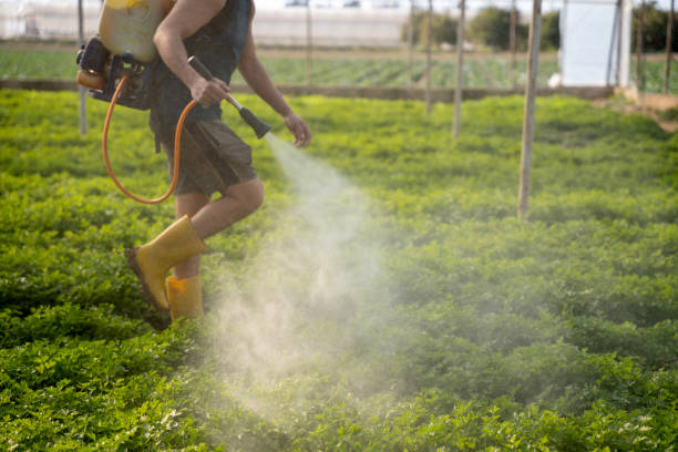 Best Exterminator Services  in Mpo, CA