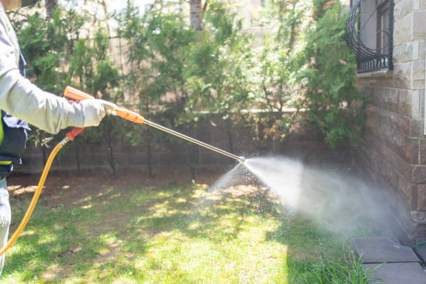 Best Affordable Pest Control Services  in Mpo, CA