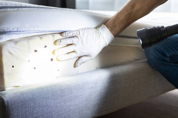 Best Commercial Pest Control Services  in Mpo, CA