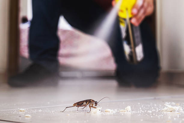 Best Best Pest Control Companies  in Mpo, CA