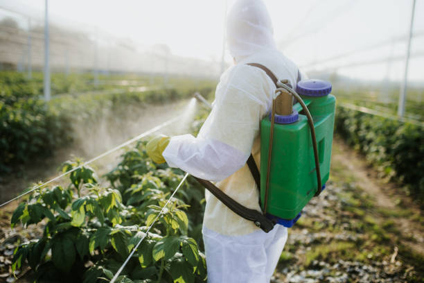 Best Insect Control  in Mpo, CA